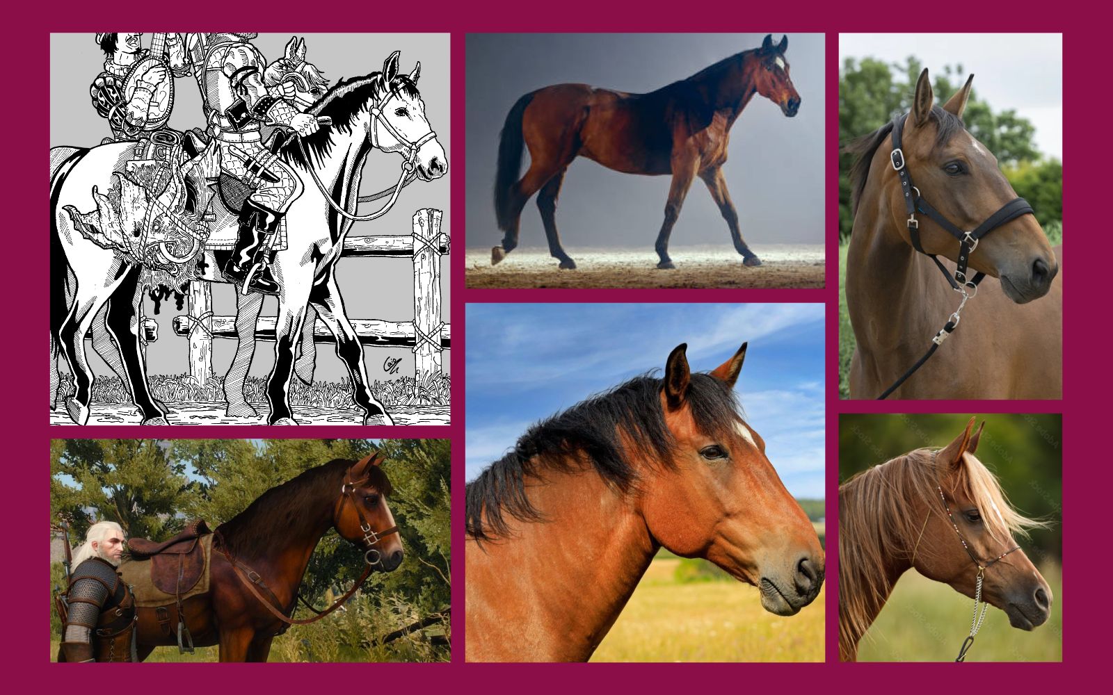 Mosaico de imagens contendo a parte do meu desenho que mostra os cavalos ao lado das referências: uma captura de tela do jogo The Witcher 3 mostrando Geralt ao lado de Plotka, uma foto de corpo inteiro de um cavalo de lado e outras três de cabeças de cavalo.